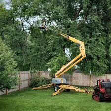 Mulching Services in Plattsburg, MO